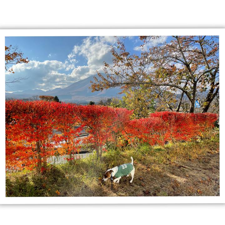 Fa47036f 609b 407f 8bc1 08bb4b835e7a 1636193034696