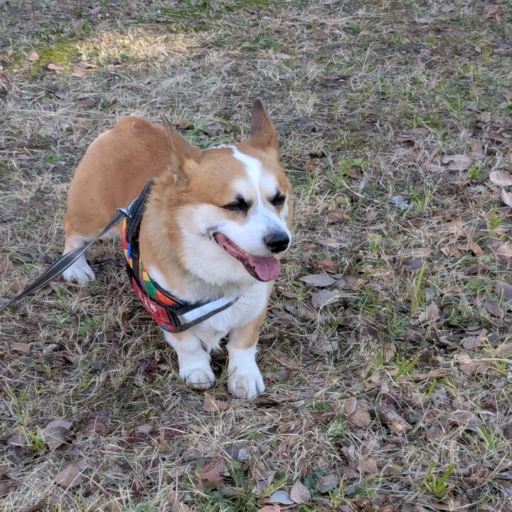 Fa470623 48ea 4553 97fa 83fd8c5c573d 1737515643107