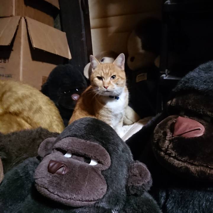 Fa47311a eb5f 458e 8627 ee701f2060cc 1607162261022