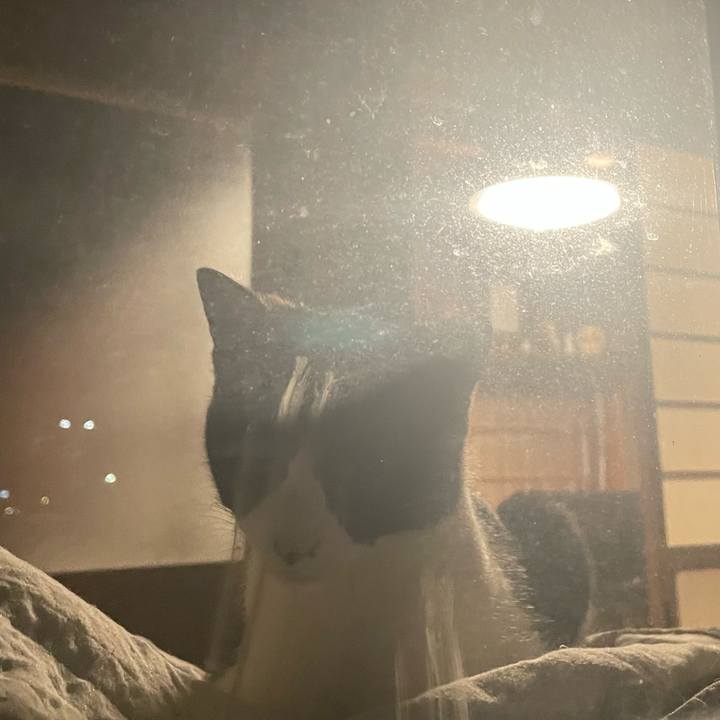 Fa4748ad 0a69 4fd0 868d b7429ba49403 1680257449457