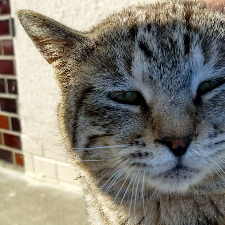 Fa4762a5 f185 4d32 be56 aa952fe5c04f 1679401374516