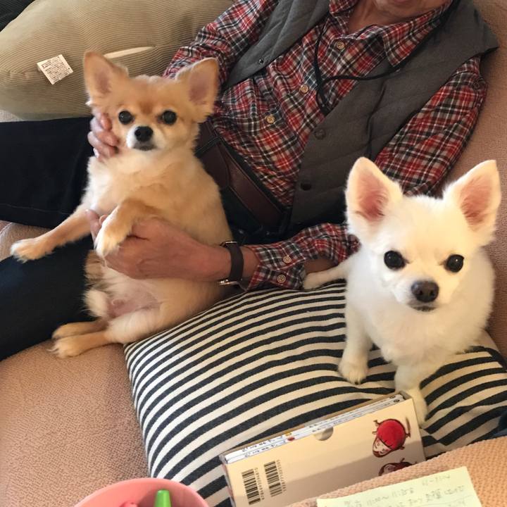 Fa4767e3 aa28 44d4 8585 930be7e2c70a 1508045612876