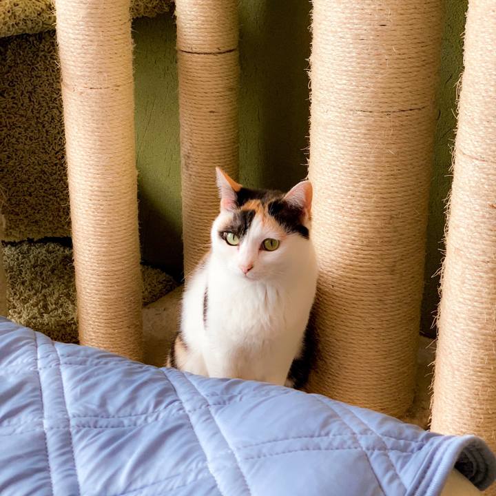 Fa47df7a d133 4a3a b690 8320a162135e 1563416020468