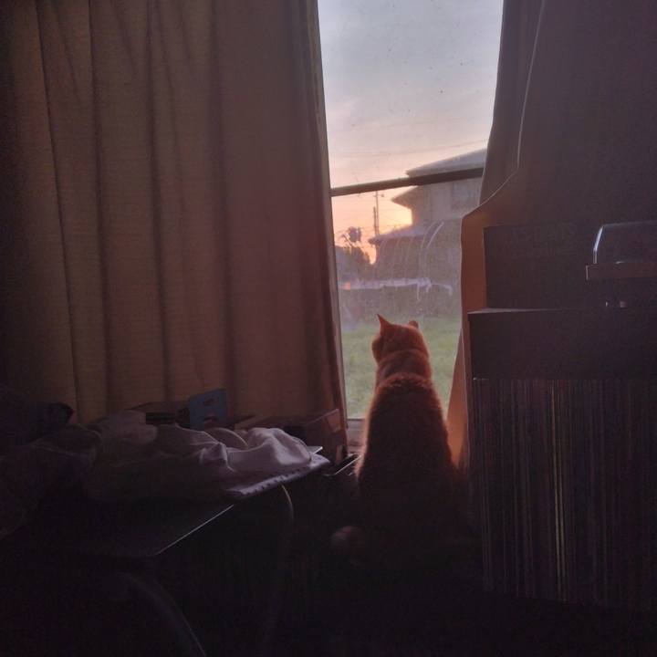 Fa481525 c1b0 49e1 bcfb b97809ffdcdd 1721513930246