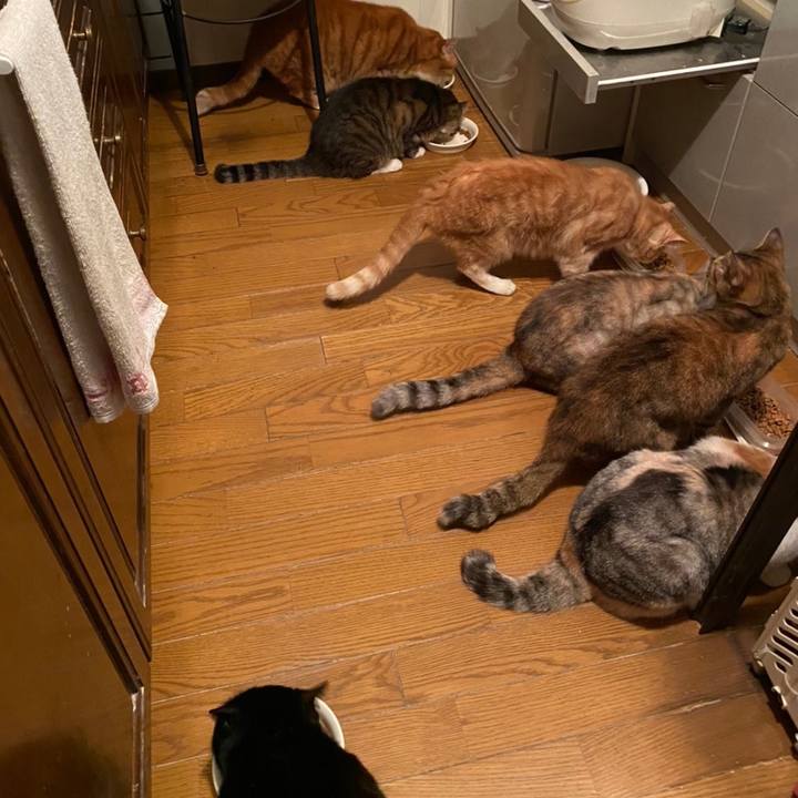 Fa4817f2 a44d 4668 aa0f 2b3363ef04df 1605449506993