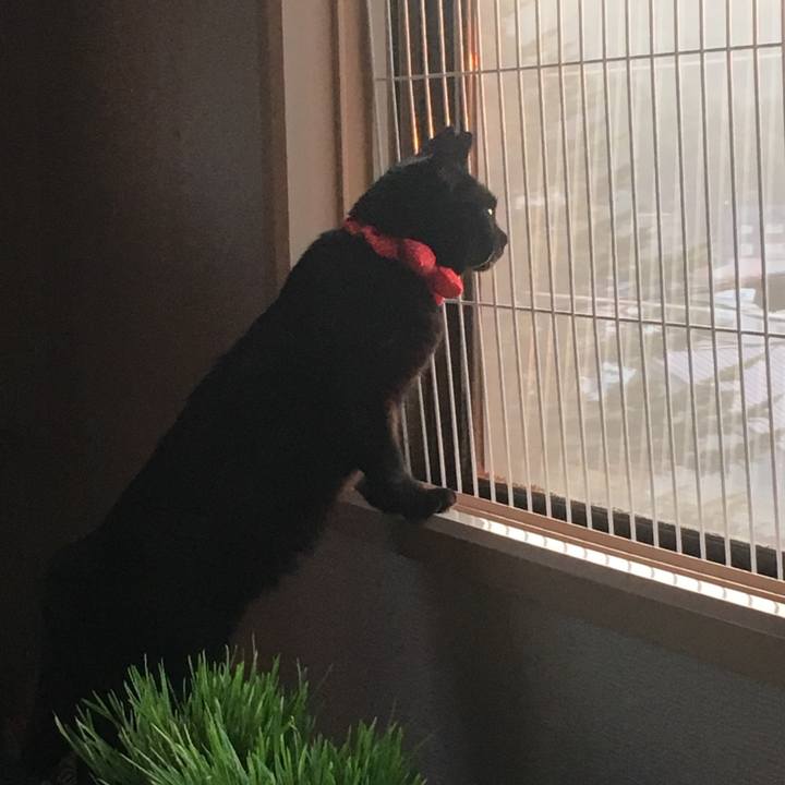 Fa481a48 0570 4a55 b7eb 69b6820eb5e7 1536957234068