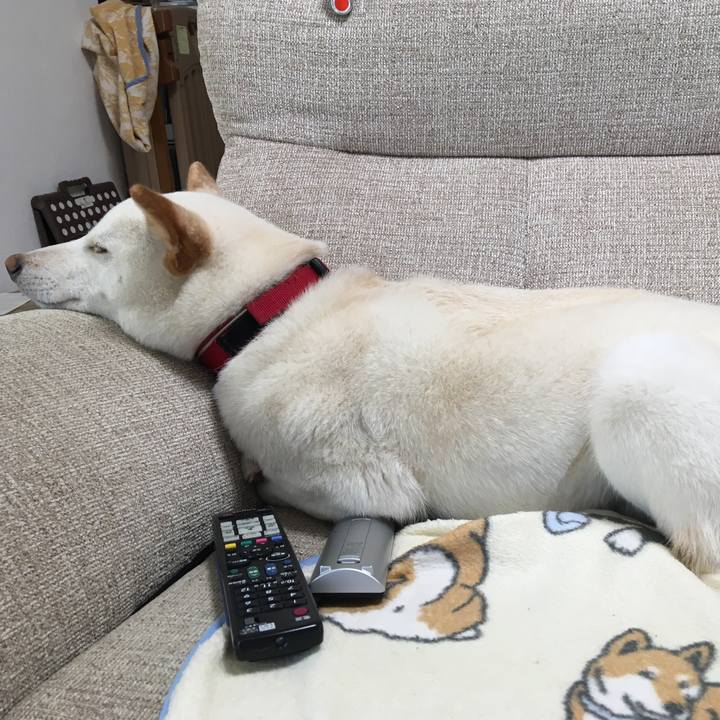 Fa48292c 9dd7 4464 9a96 c158f8f94dfb 1521466826272