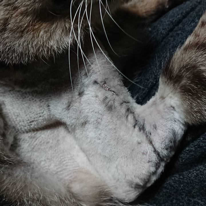 Fa482e05 bb1d 4939 8056 5bac4a282f51 1588967888551