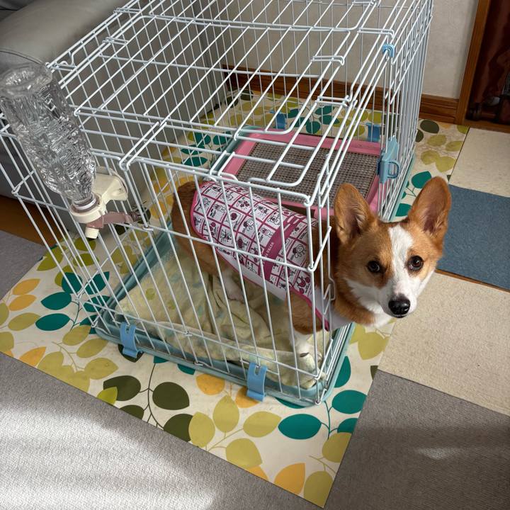 Fa485ca4 7cbd 4aa3 ab1e 3c15278ce964 1762133198784