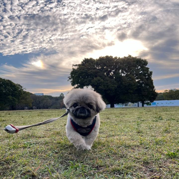 Fa486a0a 3440 4414 bafa 2337e73c8db8 1730760522213