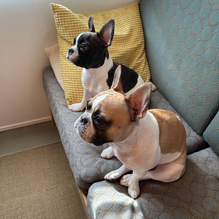 Fa48727d 3b7a 4a10 a64d 46a09a25990c 1606747441328