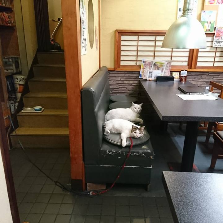 Fa4875ff 1aa5 49c8 8749 a5dfda31d1a5 1562239398201