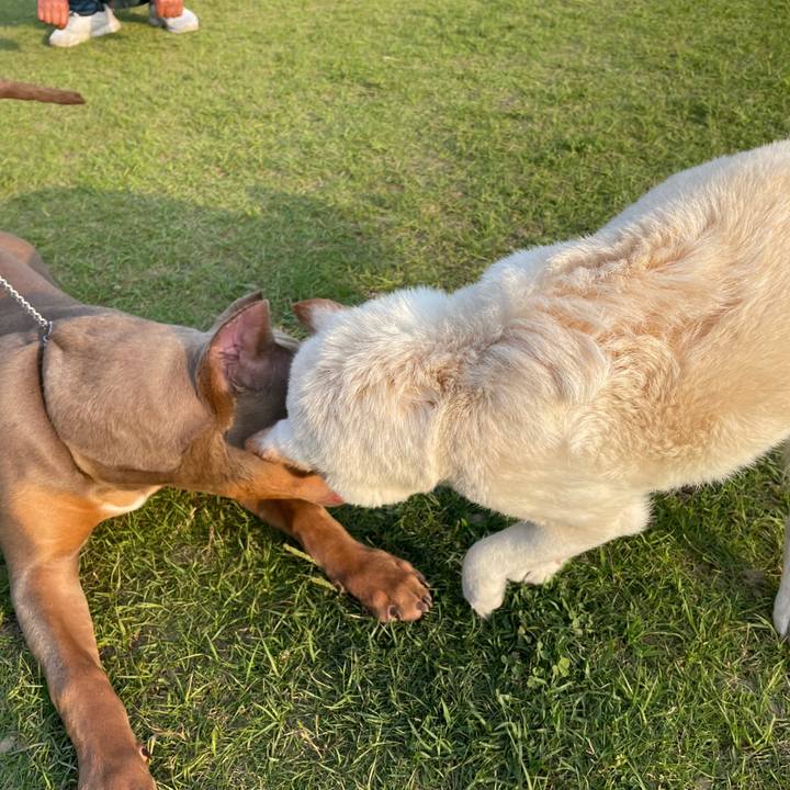 Fa487a94 e17c 4b1d 804e d1d8ca416349 1654356647301