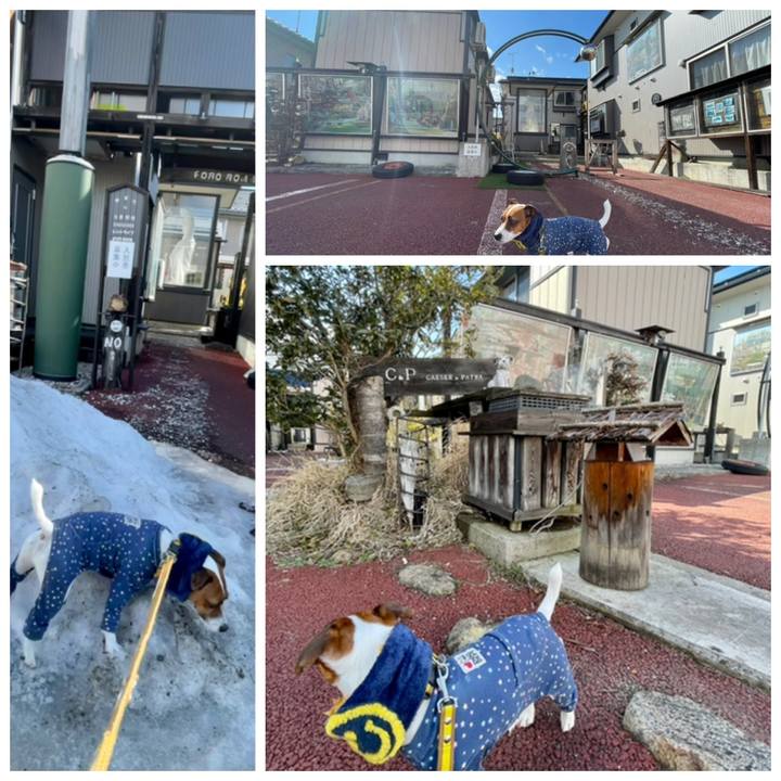 Fa48a64e 9239 4058 93a2 17ec8f2fd751 1646288549461