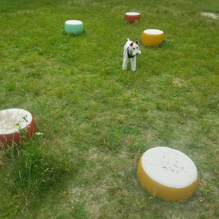 Fa48f04f 8c76 4c97 97a6 9aaa3e67c5a3 1591537323402