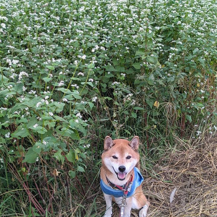 Fa490227 dfa8 4f17 97ec f9ffebf91500 1727705253044