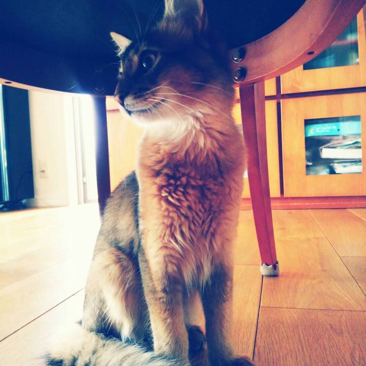 Fa492c95 da22 4d58 ad26 4b75bd1b288d 1564290344332