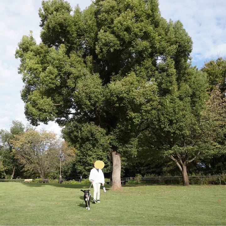 Fa492f95 2b87 4712 9b63 b2e6af152c9f 1761699603302