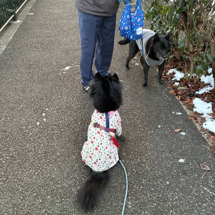 Fa4942be 70bc 4713 ae56 ccd1d693822f 1770680940963