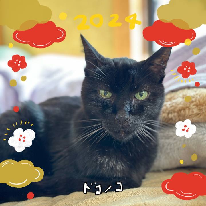 Fa4948d9 a9e6 464b a701 1268aa856055 1704076143397