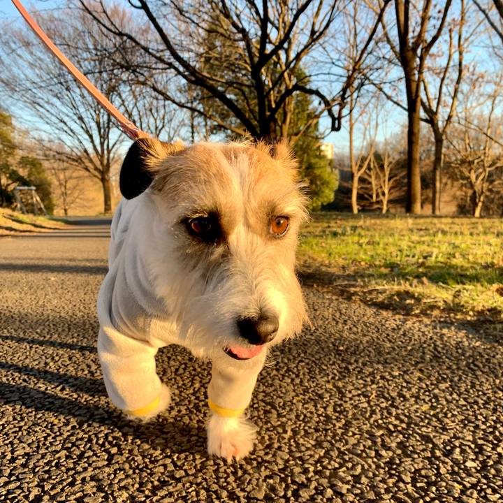 Fa49559d fbee 483e b8bd c49541911ddd 1674907492829