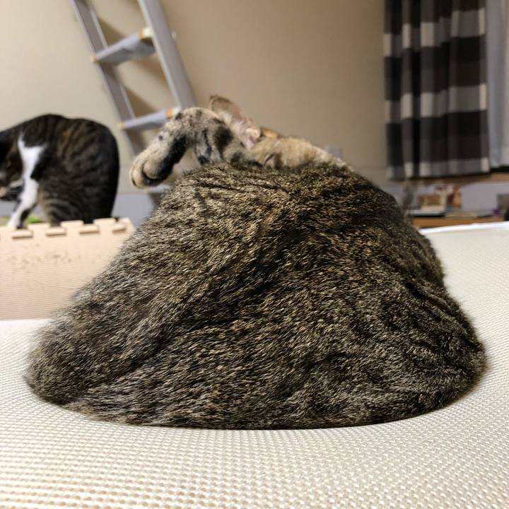 Fa49575d cc6b 4cc3 b9c4 be3d713ba1a1 1523010266058