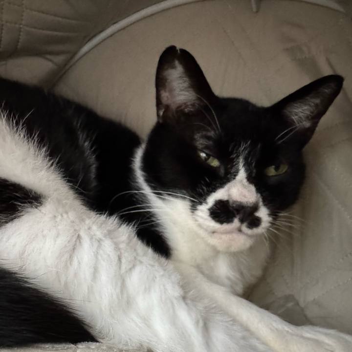 Fa497ed1 6d4f 4c10 bba3 f4326e46bd8a 1750721558953