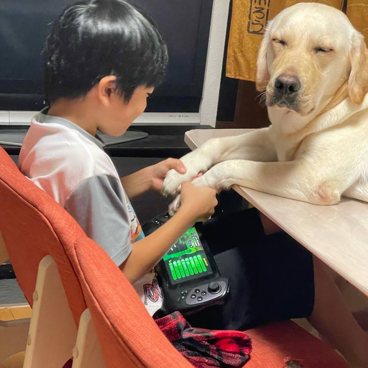 Fa498036 89f9 4aaf 8445 96ca6346fd76 1664539427791