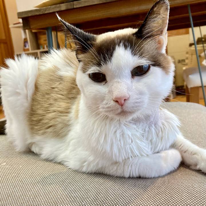 Fa498281 73a5 4c6b a94b ead1b34d693c 1677715699426