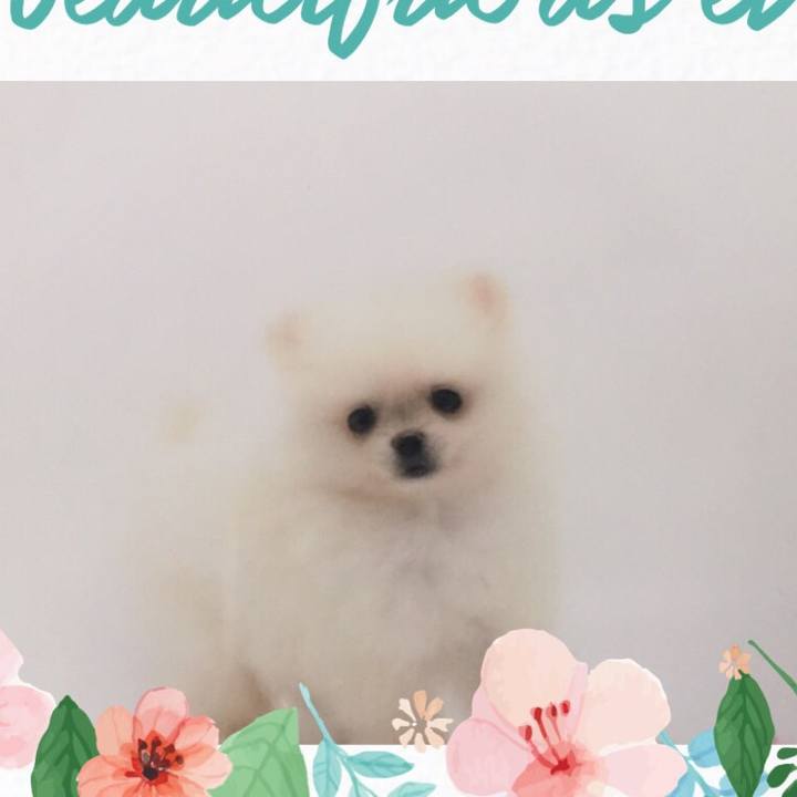 Fa498706 03d8 453e 9879 a0e99ae4a490 1540077936440