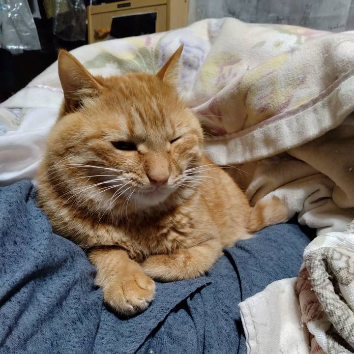 Fa49a94e 7634 4722 999f 5f64711c27e6 1700307781157