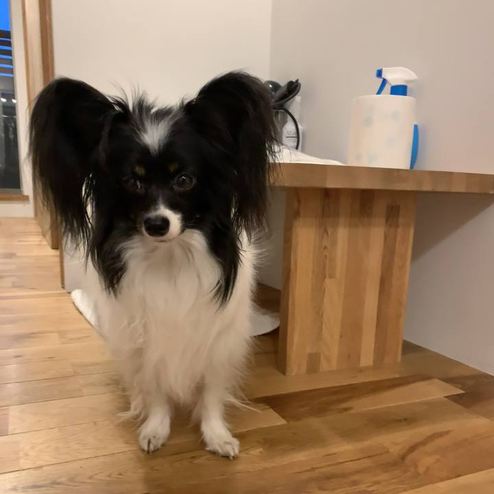 Fa49f698 aa85 4eeb b988 91887afd8178 1547942818254