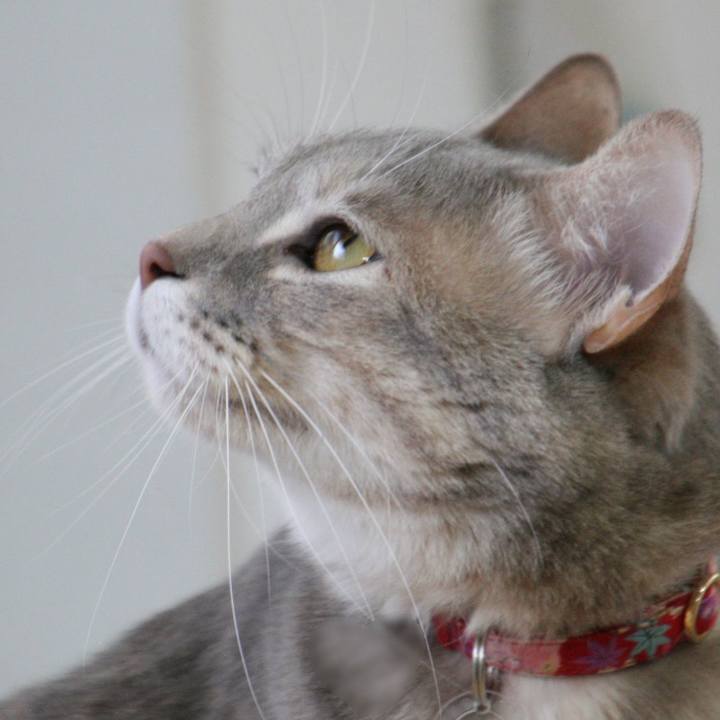 Fa4a3b27 b788 43f3 994b fac7415a63f4 1518744543953