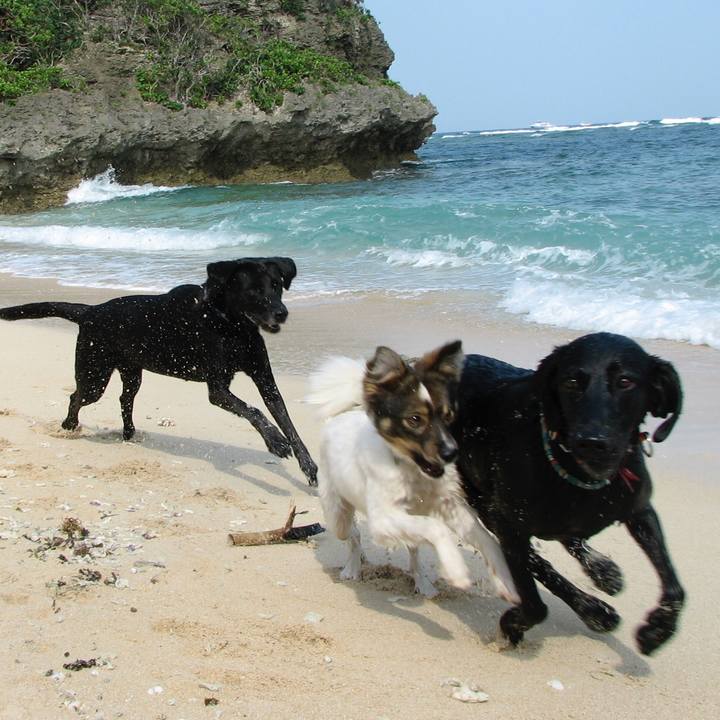 Fa4a4238 4056 4ec6 b230 00406be48fca 1615441180474