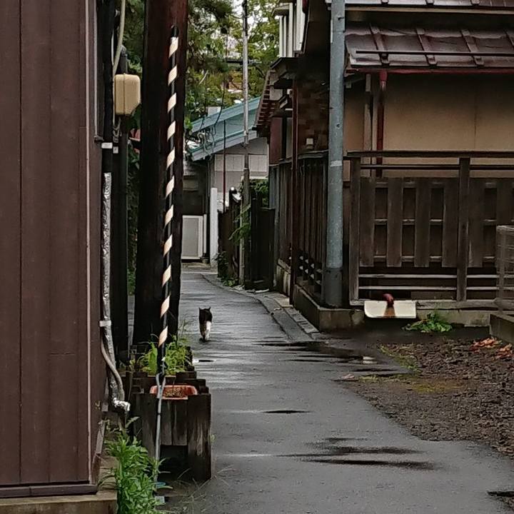 Fa4a4c02 5c43 4f05 b1ad 01a00305631c 1568603501163