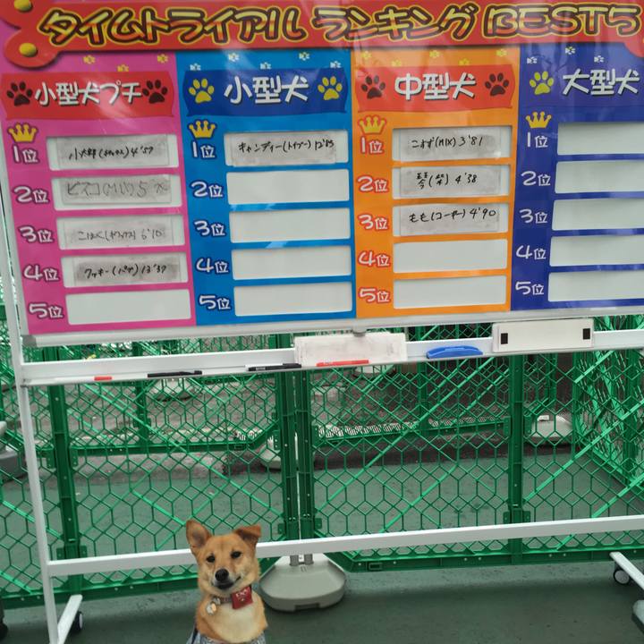 Fa4a607d 4ee9 4208 aee1 e9c49f694836 1529139595962