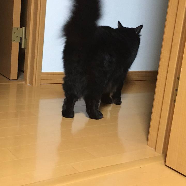 Fa4aa1d9 a854 4ac4 ba81 039c6bcebe1c 1537563016540