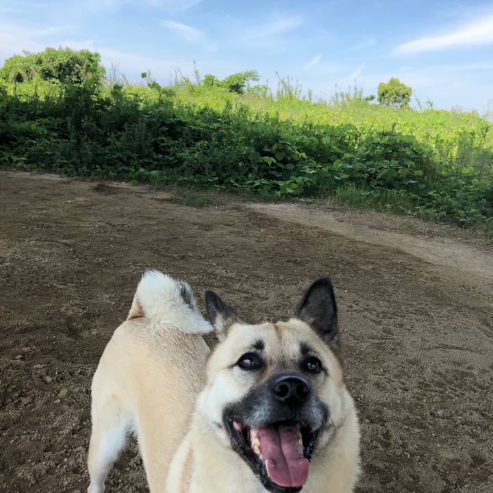 Fa4ac224 3ba0 4fc7 882f eb2b7854d52b 1560067321300