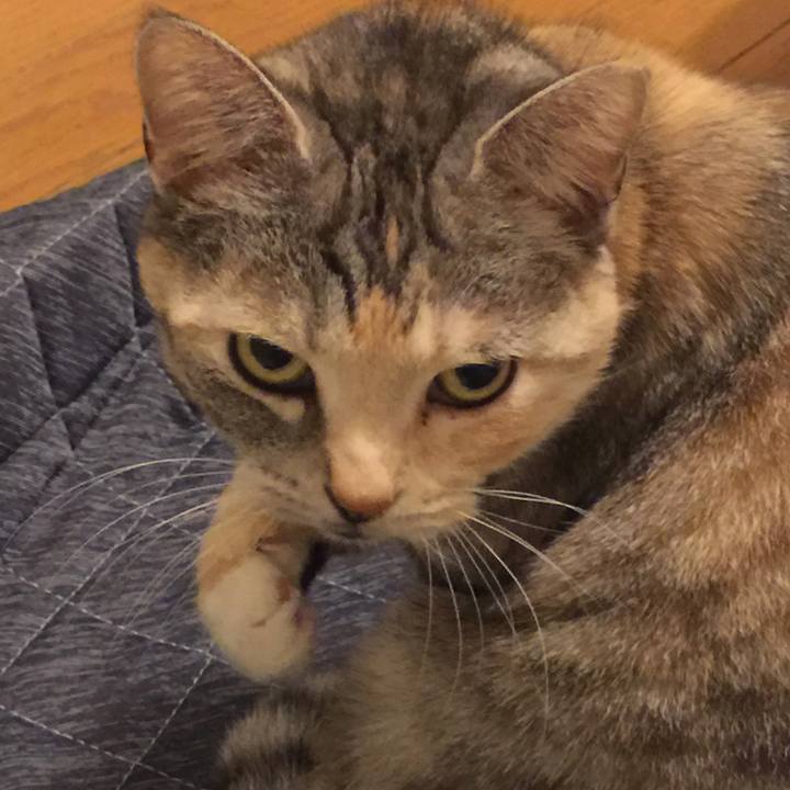 Fa4b1261 9806 4389 817a 991e86dda790 1548534378076