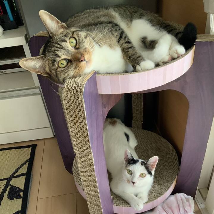 Fa4b27bd 218f 4af0 82fe 455e07227338 1722641268934