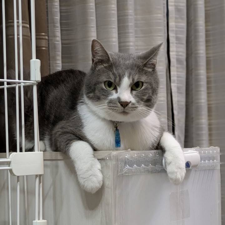 Fa4b3454 c233 4aed 9adf 05103f56c556 1754129932847