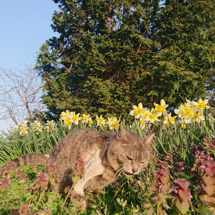 Fa4bc686 7a48 466d a8f9 c4feeb39a64b 1587806663298