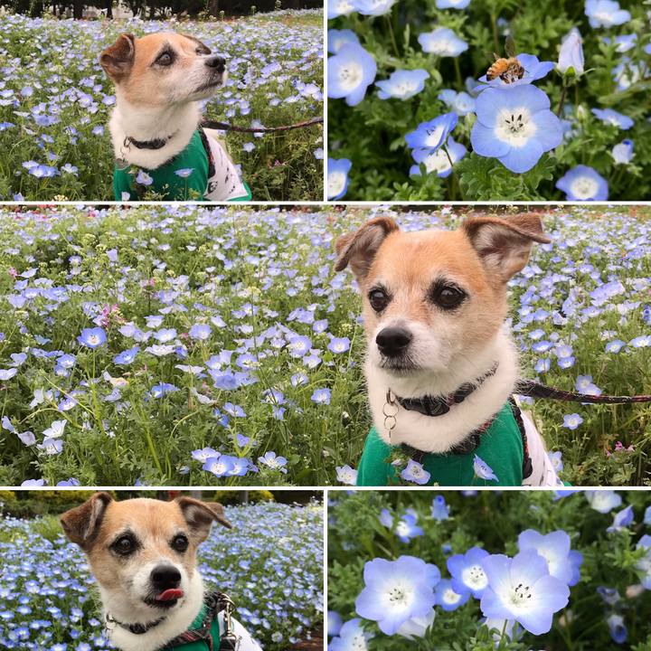 Fa4bdf54 75b5 42f7 96c8 78f0dbdf4a85 1620363707305