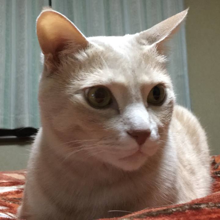 Fa4bf540 9d7b 4bbb ad81 e5fac8dffe53 1519126577738