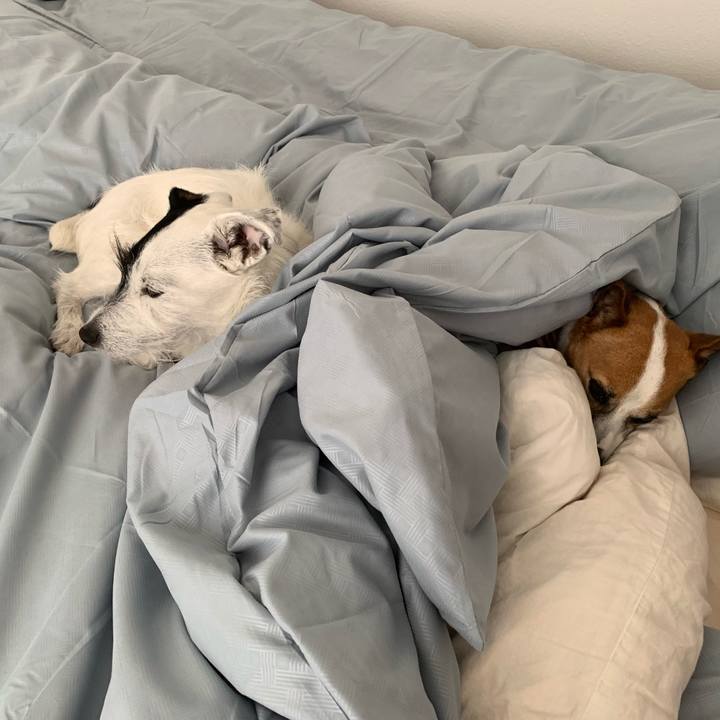 Fa4c054d d290 4ff8 869b 8d7d55cd7fae 1557702096954