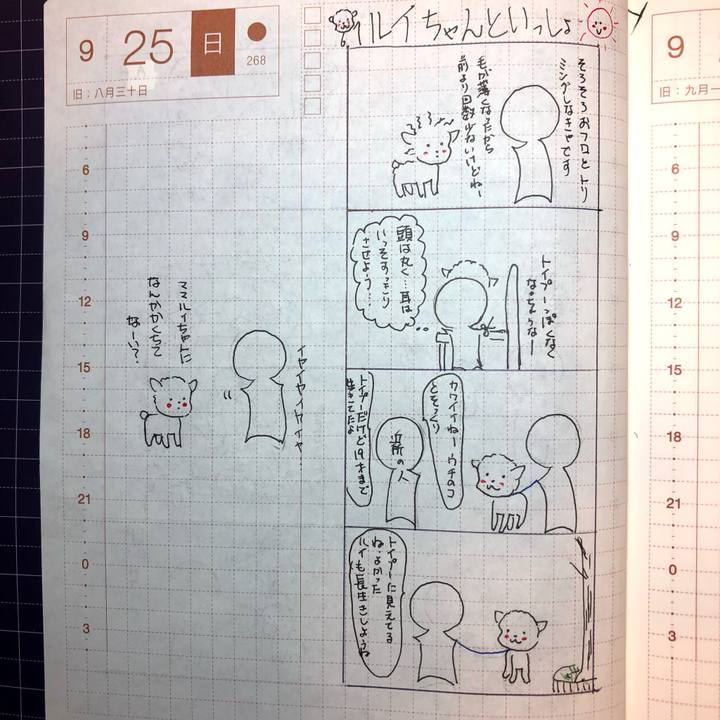 Fa4c1616 0806 43b4 9634 1ac961d18416 1664118784323