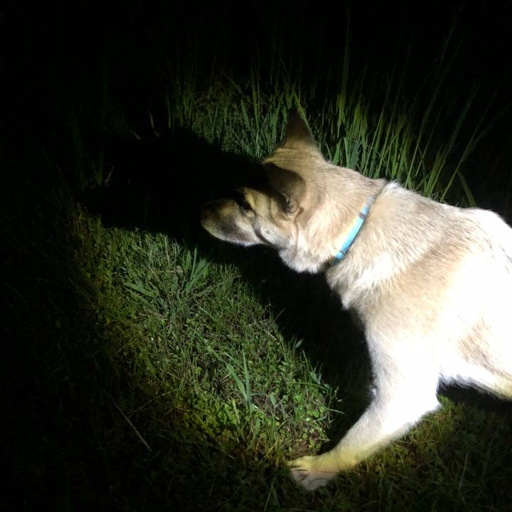 Fa4c1818 658c 4318 bcf2 32efb99f407d 1630583020892