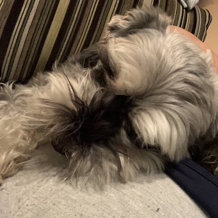 Fa4c3c6b e81a 4978 adb4 d7f5af52542d 1589863365491