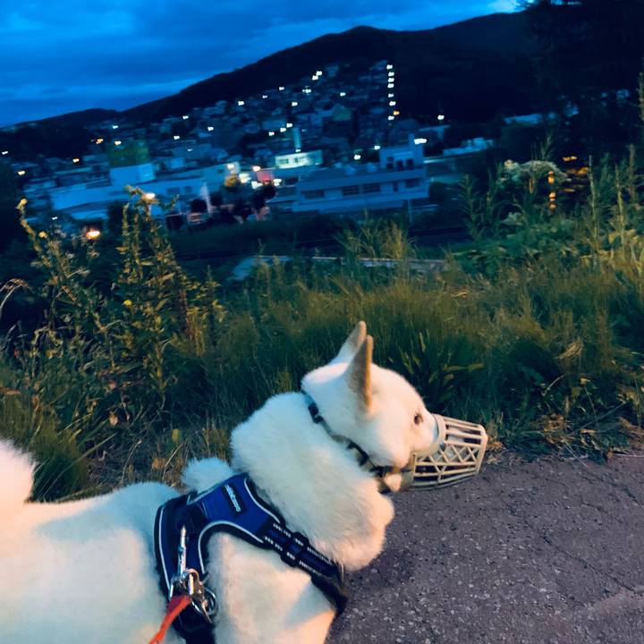 Fa4c62ca 1a66 4b17 bc39 4d5f481d1ddb 1628452365783