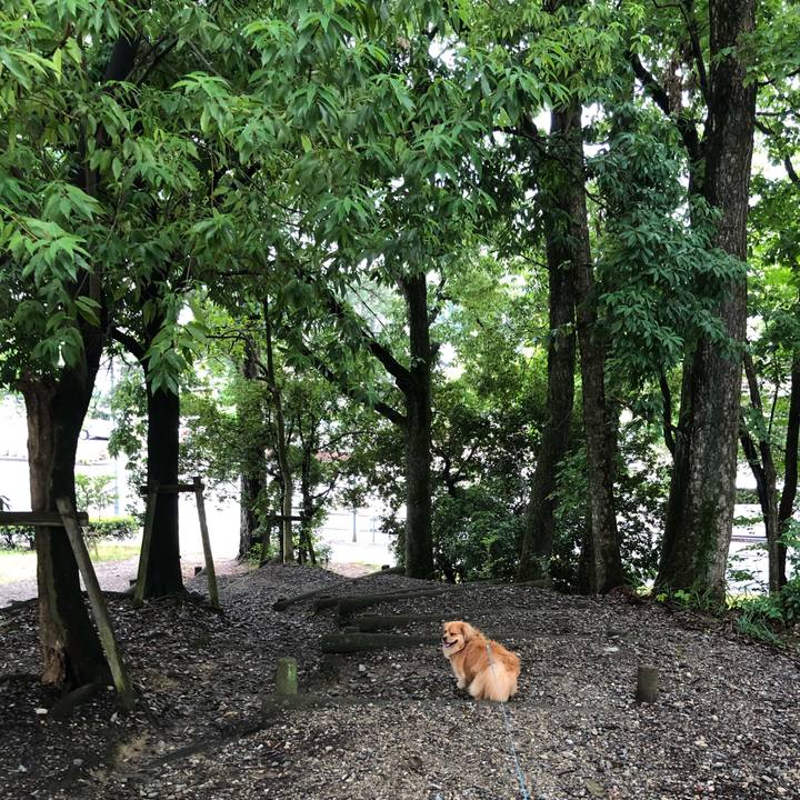 Fa4c75a6 fb06 4f5d 8cb5 1d1e2f9b85f5 1562374554337